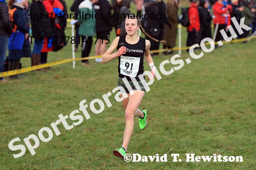 Womens Under-17s 2024 Northern Cross Country Champs., Sedgefield. Photo: David T. Hewitson/Sports for All Pics